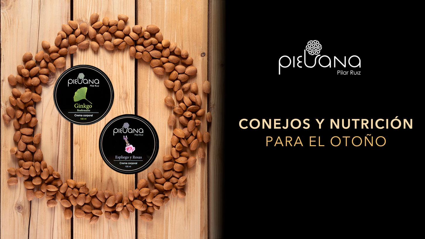 Consejos y Nutrición para el Otoño